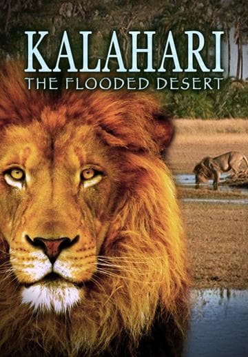 Kalahari: The Flooded Desert