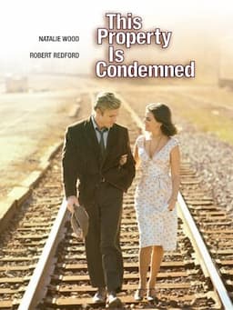 This Property Is Condemned