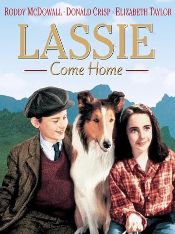 Lassie Come Home