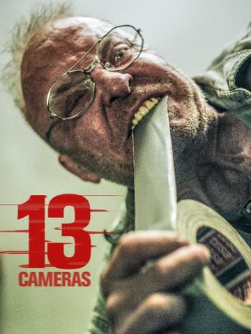13 Cameras