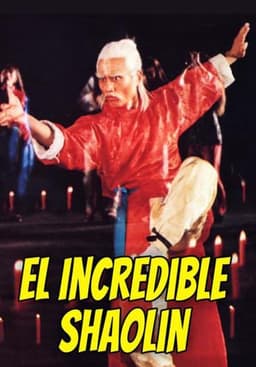 Shaolin Teenage Heroines