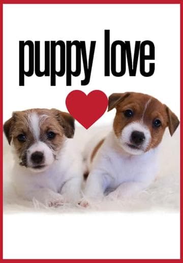 Puppy Love