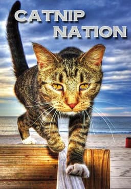 Catnip Nation