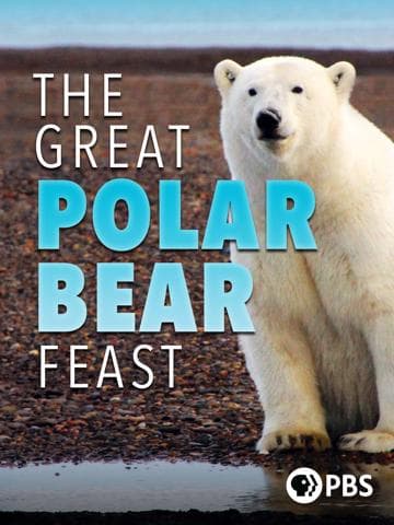 The Great Polar Bear Feast