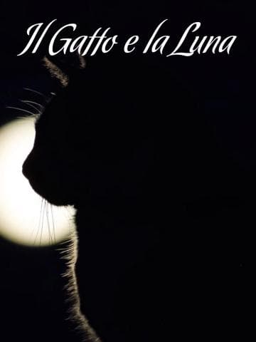 The Cat & the Moon