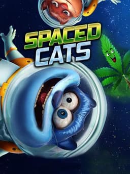 Spaced Cats