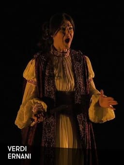 Aida - Arena di Verona