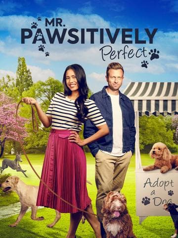 Mr. Pawsitively Perfect