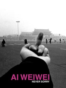 Ai Weiwei: Never Sorry