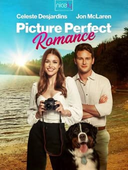 Picture Perfect Romance