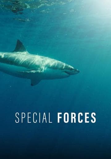 Special Forces - Ultimate Hell Week