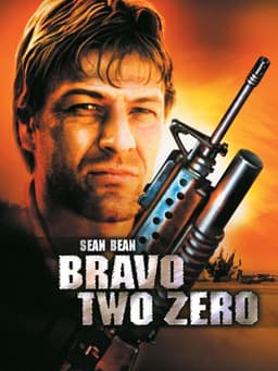Bravo Two Zero