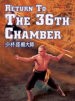 Return to the 36th Chamber