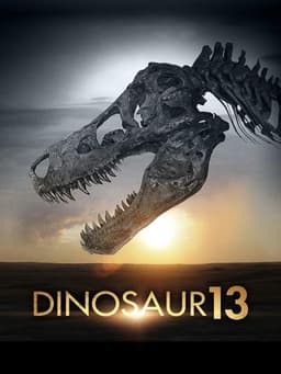 Dinosaur 13