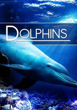 Dolphins: Spy in the Pod