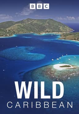Wild Caribbean