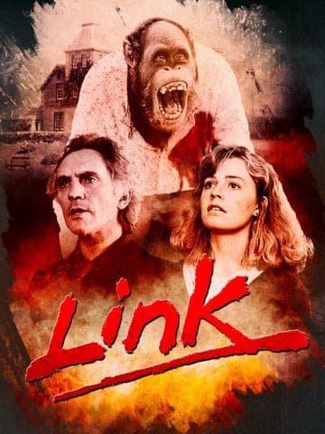 Link
