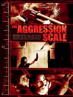 The Aggression Scale