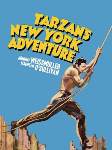 Tarzan's New York Adventure