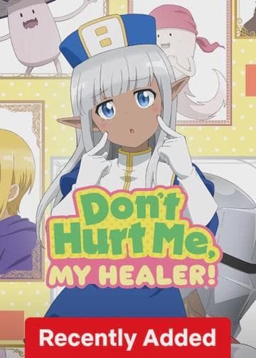 Don't Hurt Me, My Healer!