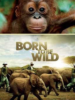 Born to Be Wild