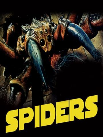 Spiders