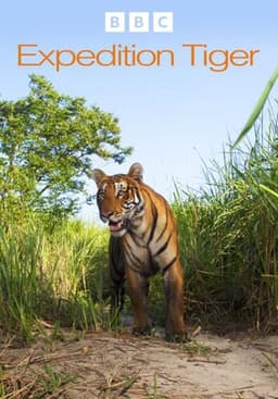 Lost Land of the Tiger