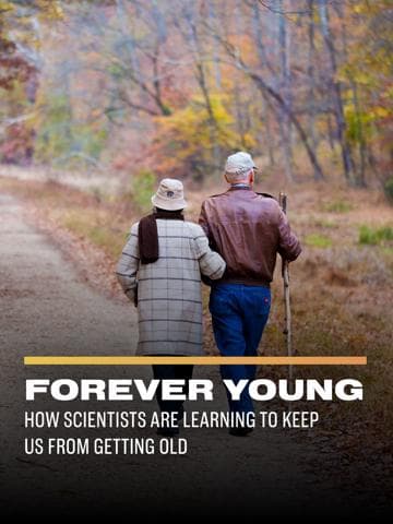 AC/DC : Forever Young