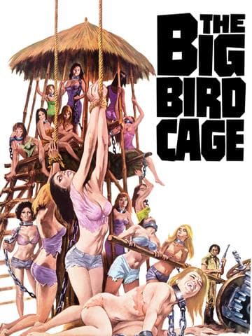 The Big Bird Cage