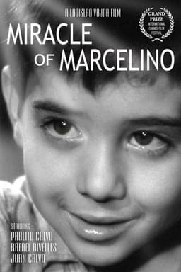 The Miracle of Marcelino