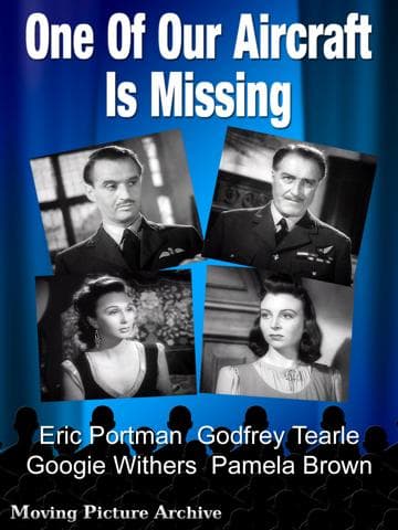 One of Our Aircraft Is Missing