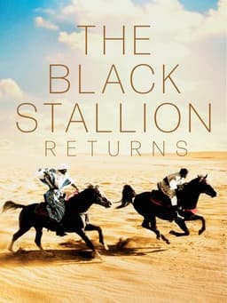The Black Stallion Returns