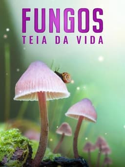 Fungi: The Web of Life