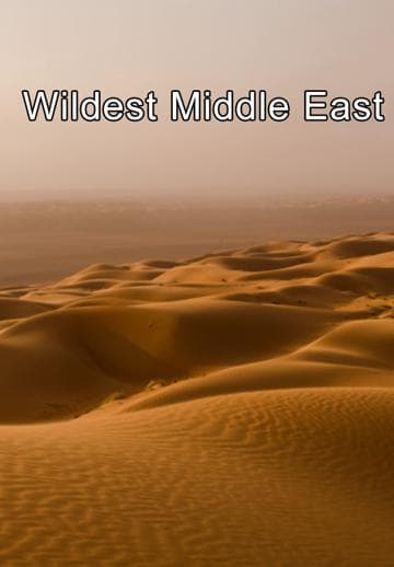 Wildest Middle East