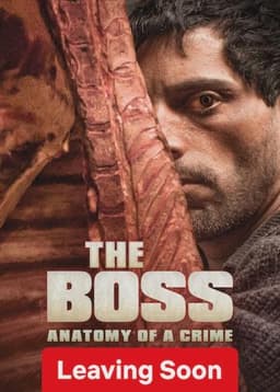 The Boss: Anatomy of a Crime