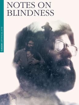 Notes on Blindness