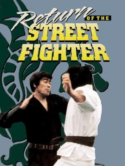 Return of the Street Fighter