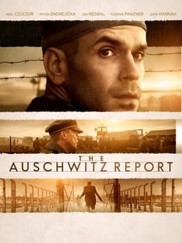 The Auschwitz Report