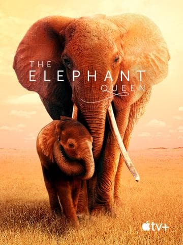 The Elephant Queen