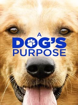 A Dog's Purpose