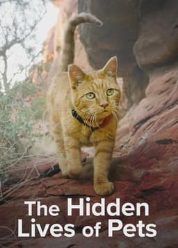 The Secret Life of Our Pets