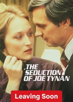 The Seduction of Joe Tynan