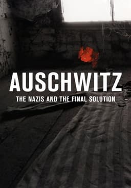 Auschwitz: The Nazis and the Final Solution