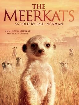 The Meerkats