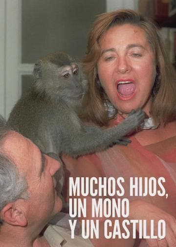 Lots of Kids, a Monkey and a Castle