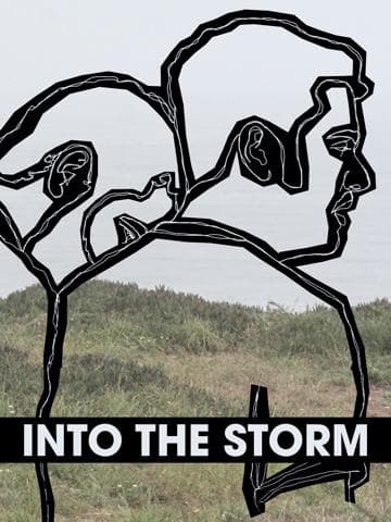 Into the Storm