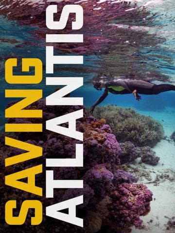 Saving Atlantis