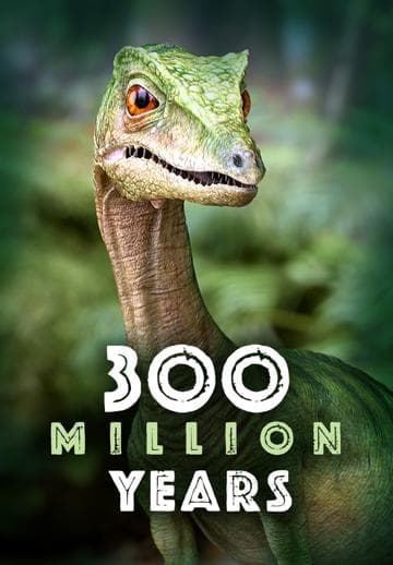 300 Million Years