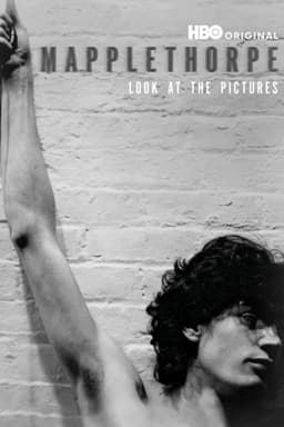 Mapplethorpe: Look at the Pictures
