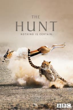 The Hunt
